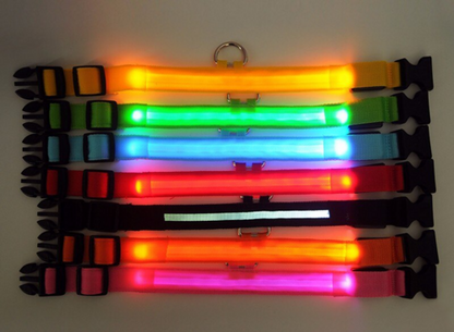 LED Adjustable Dog Collar Blinking Flashing Light Up Glow Pets Safety